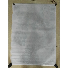 奈梅亨拉德伯德大学 Architecture Degree Certificate